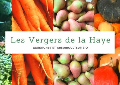 LES VERGERS DE LA HAYE